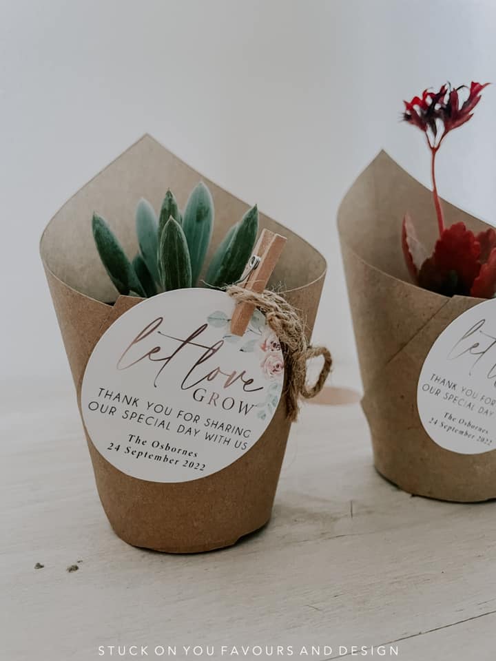 Wrap Sleeve Succulent Wedding Favour - 8cm
