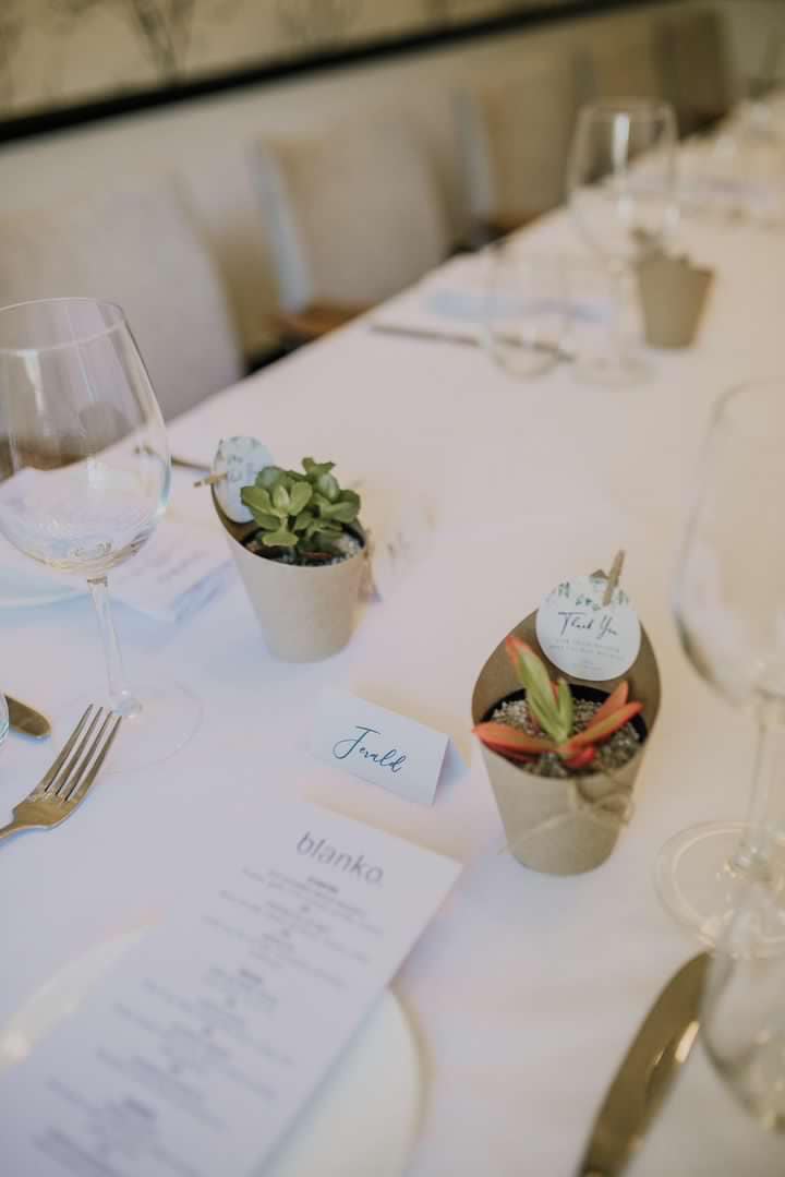 Wrap Sleeve Succulent Wedding Favour - 8cm