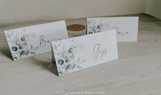 Greenery Tented Name Cards