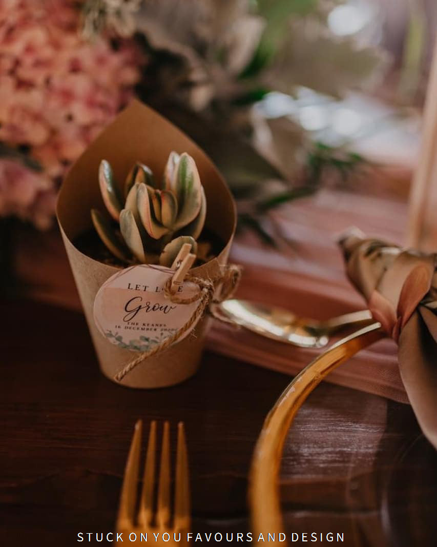 Wrap Sleeve Succulent Wedding Favour - 8cm