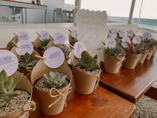 Succulent Favours - A5 Acrylic Table Talker