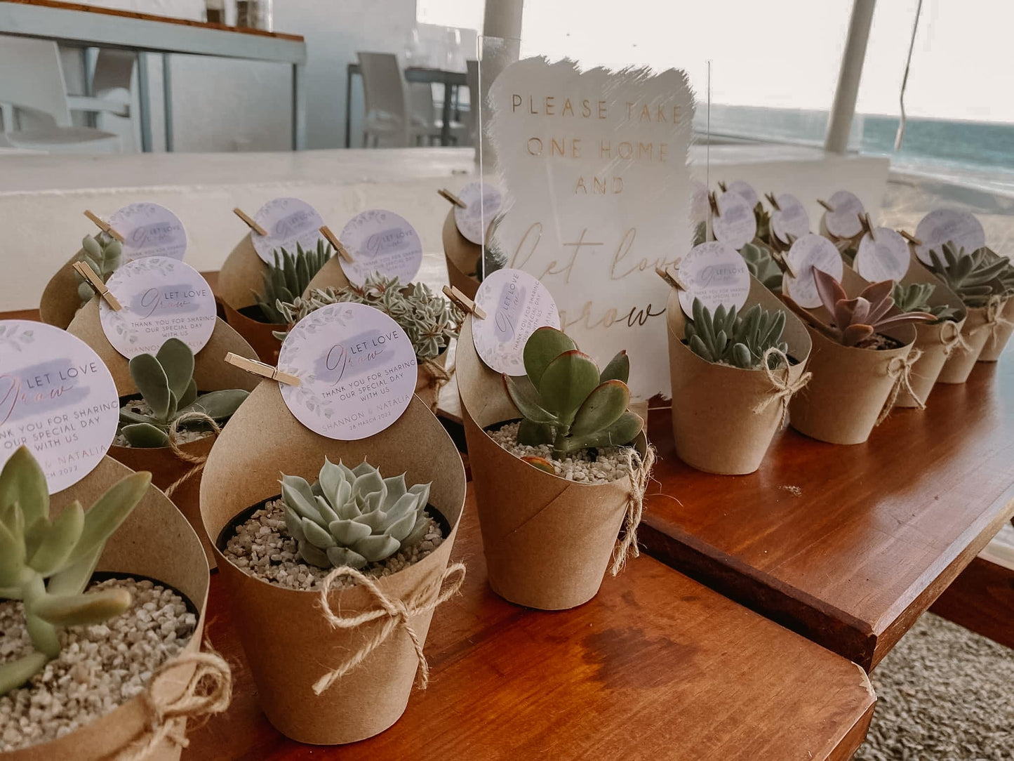 Wrap Sleeve Succulent Wedding Favour - 8cm