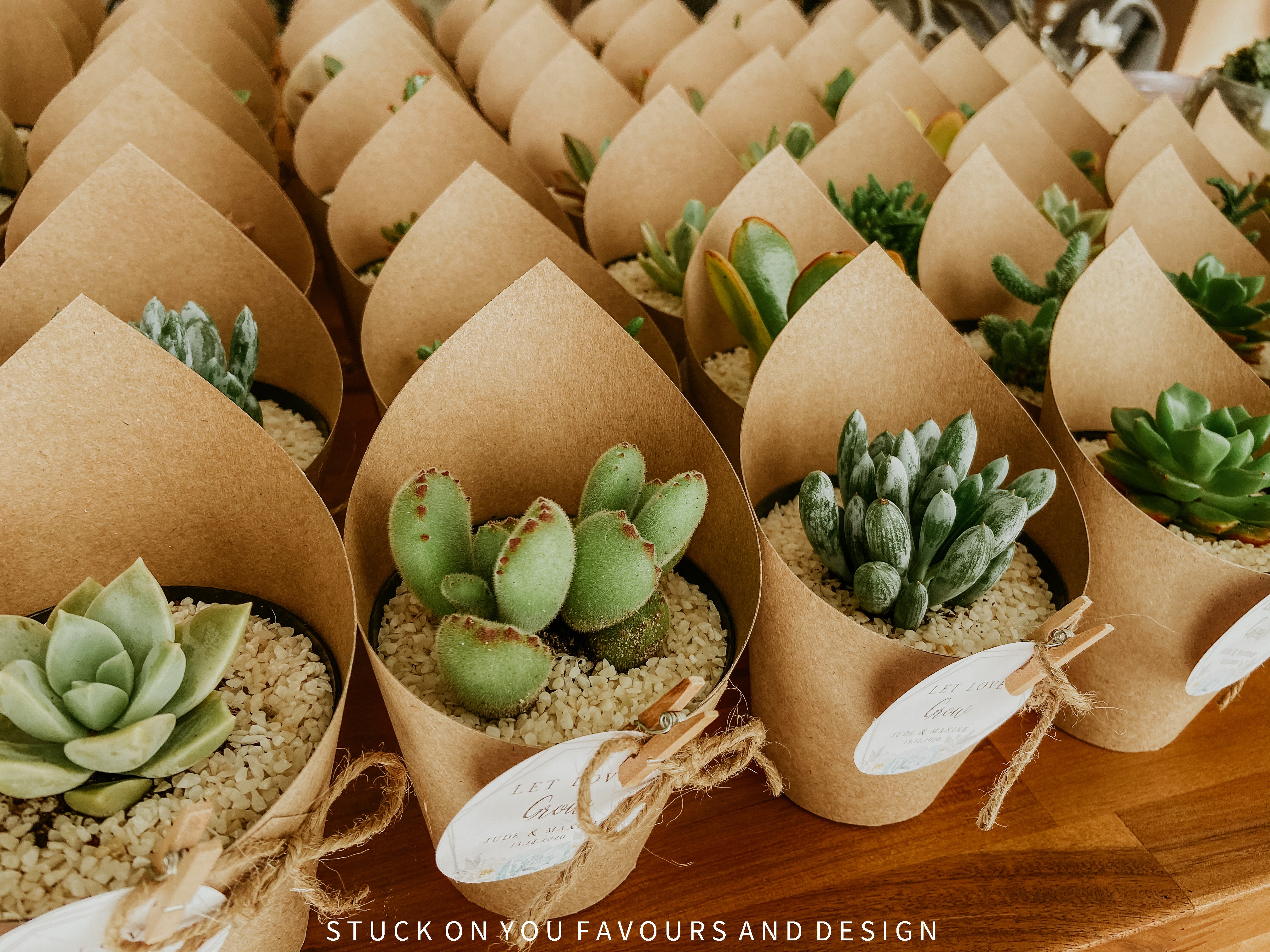 succulent plant wedding giveaways Wrap Sleeve Succulent Wedding Favour