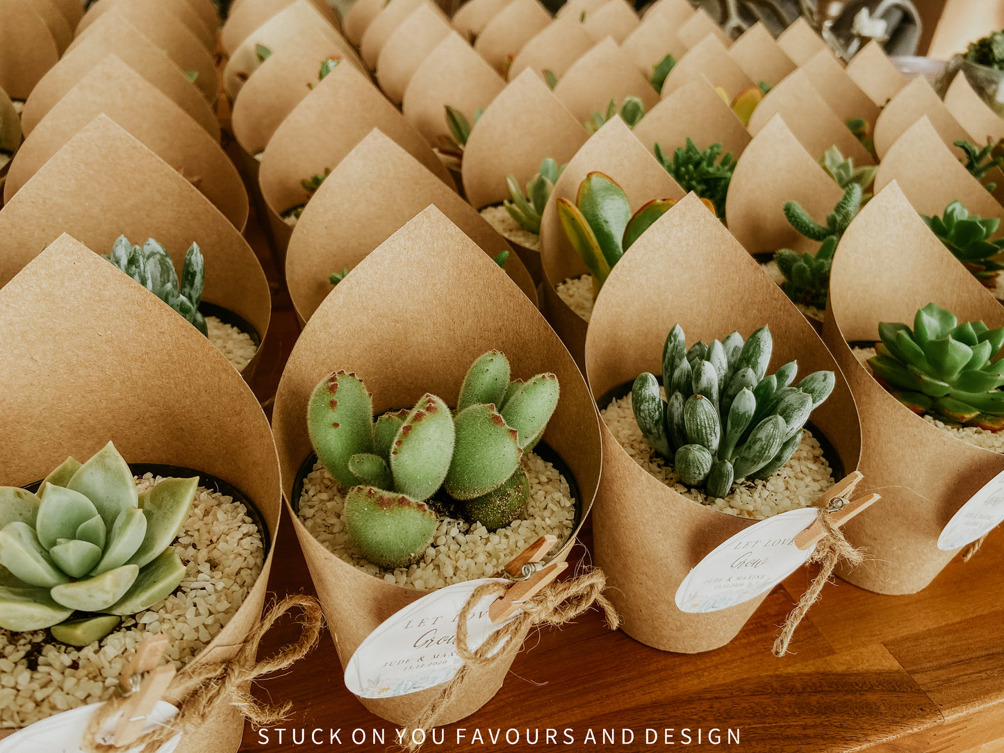 Wrap Sleeve Succulent Wedding Favour - 8cm