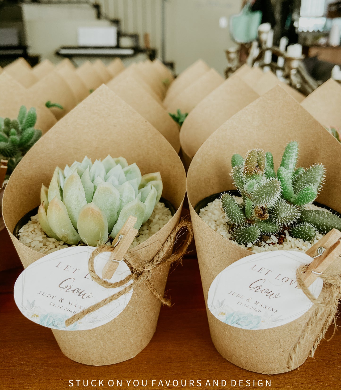 Wrap Sleeve Succulent Wedding Favour - 8cm