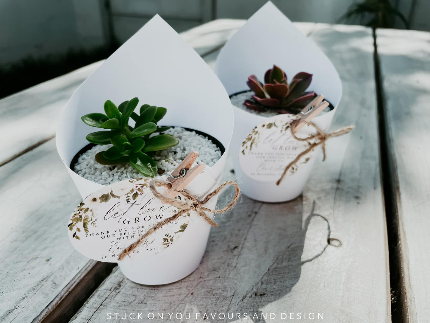 Wrap Sleeve Succulent Wedding Favour - 8cm